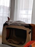 34_Boxbenutzung mal anders